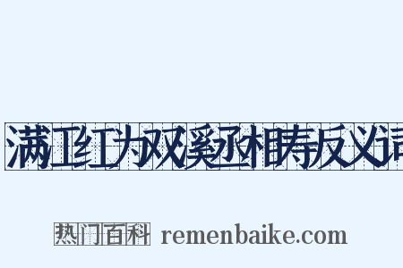 满江红为双溪丞相寿反义词是什么意思的图片